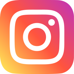 Insta Icoon